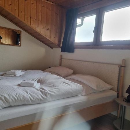 Hotel Pension Anke Bodenmais Dış mekan fotoğraf